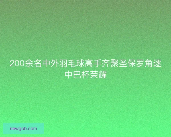 200余名中外羽毛球高手齐聚圣保罗角逐中巴杯荣耀